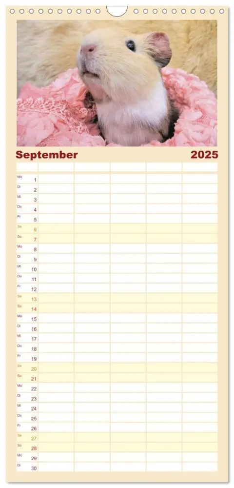 Bild: 9783457102381 | Familienplaner 2025 - Familienplaner MEERSCHWEINCHEN verzaubern uns...