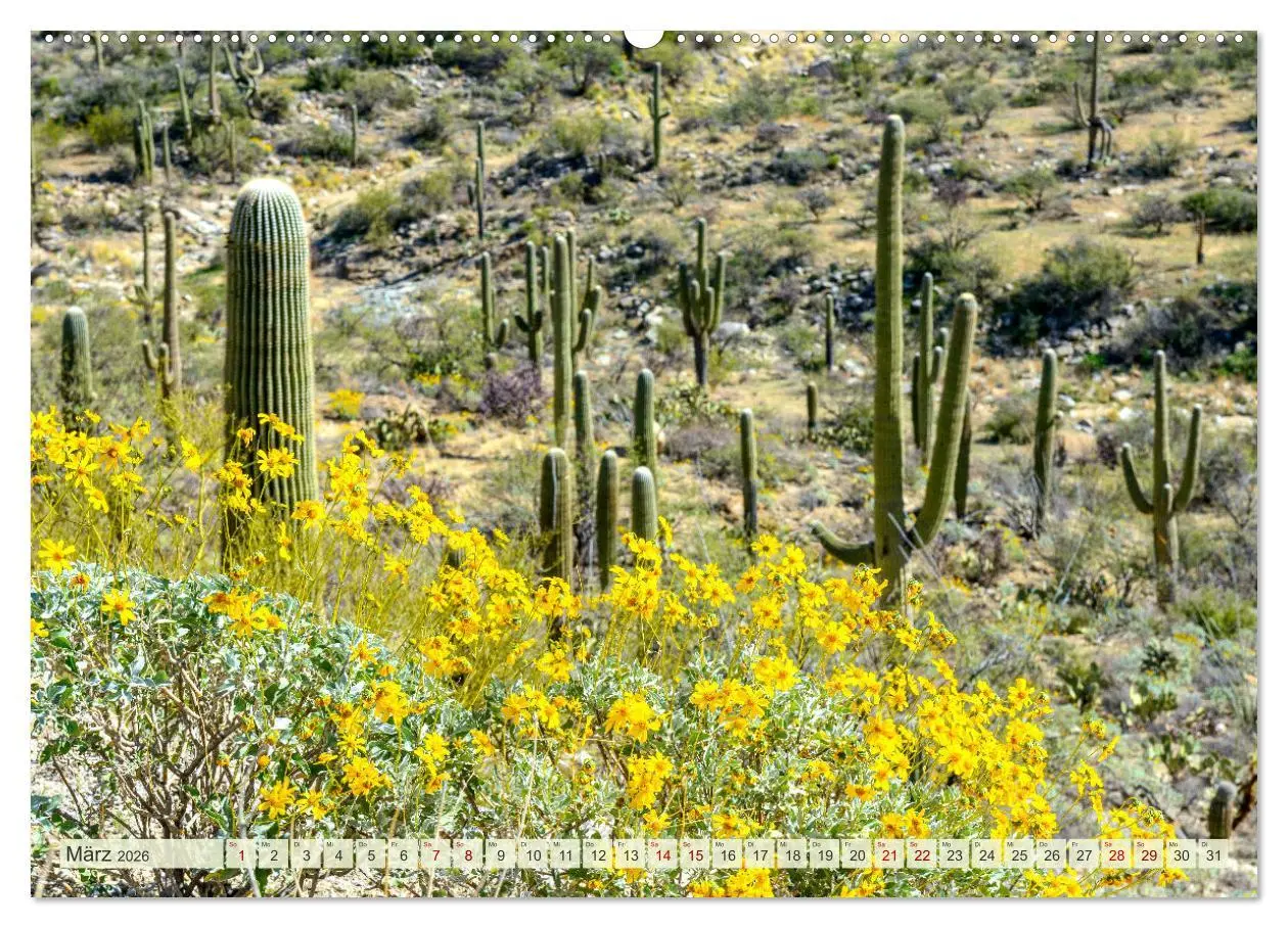 Bild: 9783457272381 | Unterwegs in ARIZONA (hochwertiger Premium Wandkalender 2026 DIN A2...