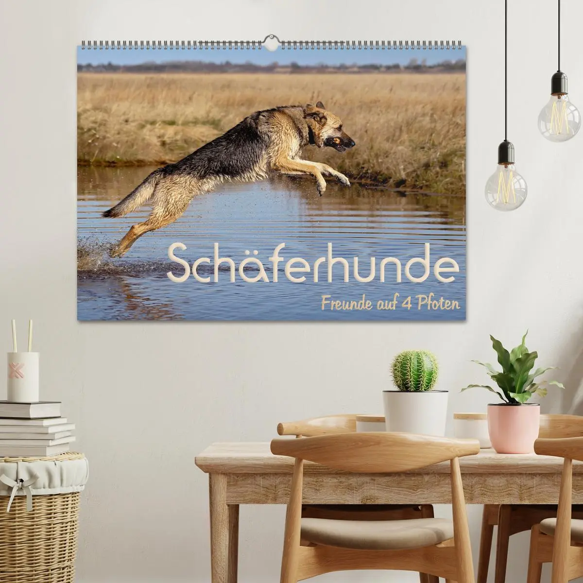 Bild: 9783457892381 | Schäferhunde - Freunde auf 4 Pfoten (Wandkalender 2026 DIN A2...