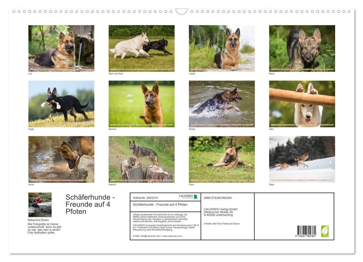 Bild: 9783457892381 | Schäferhunde - Freunde auf 4 Pfoten (Wandkalender 2026 DIN A2...