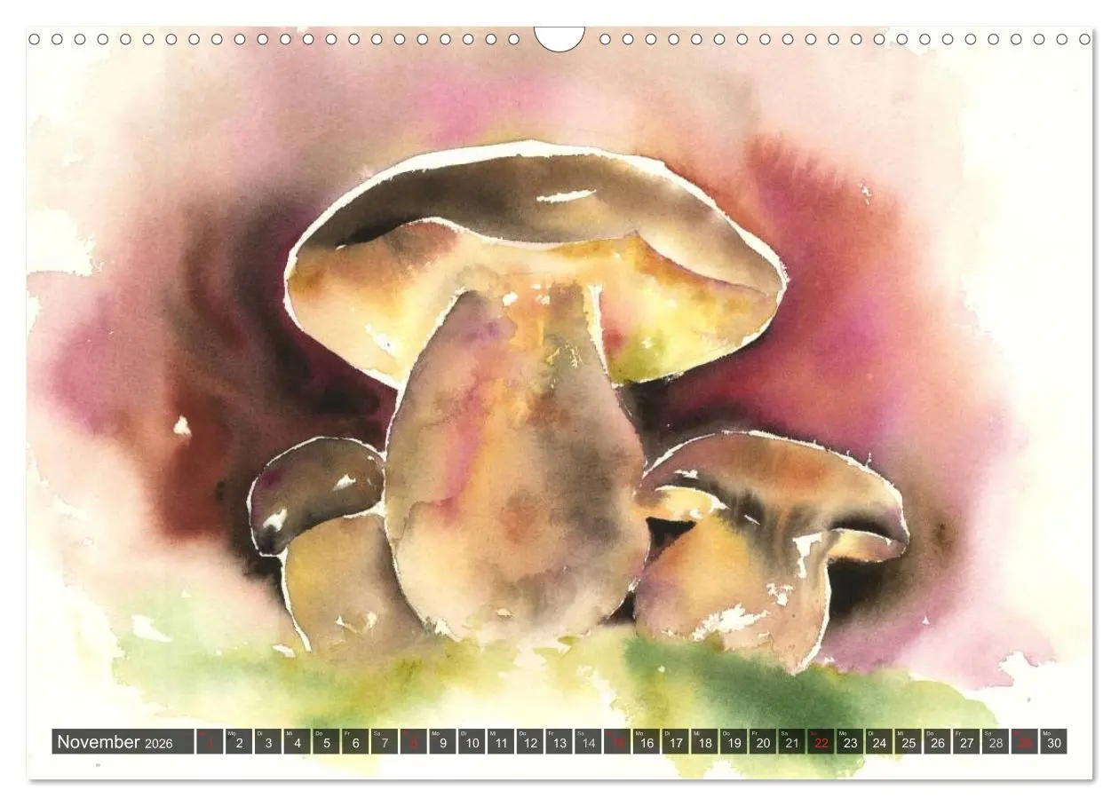 Bild: 9783516052381 | Pilze in Aquarell (Wandkalender 2026 DIN A3 quer), CALVENDO...