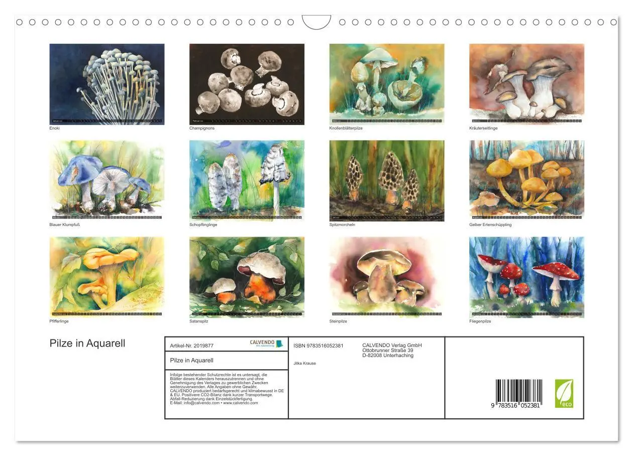 Bild: 9783516052381 | Pilze in Aquarell (Wandkalender 2026 DIN A3 quer), CALVENDO...