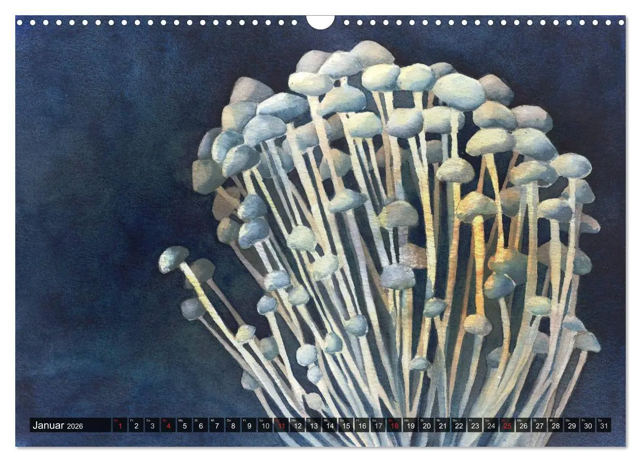 Bild: 9783516052381 | Pilze in Aquarell (Wandkalender 2026 DIN A3 quer), CALVENDO...
