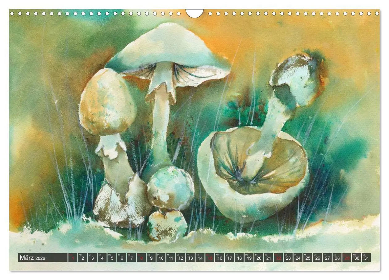 Bild: 9783516052381 | Pilze in Aquarell (Wandkalender 2026 DIN A3 quer), CALVENDO...