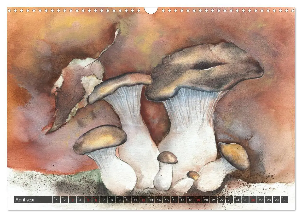 Bild: 9783516052381 | Pilze in Aquarell (Wandkalender 2026 DIN A3 quer), CALVENDO...