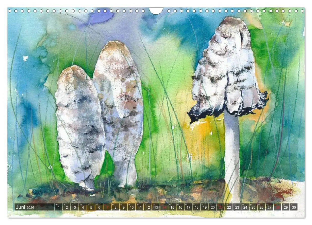Bild: 9783516052381 | Pilze in Aquarell (Wandkalender 2026 DIN A3 quer), CALVENDO...