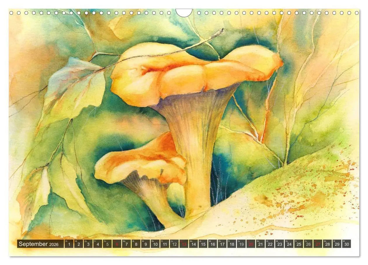 Bild: 9783516052381 | Pilze in Aquarell (Wandkalender 2026 DIN A3 quer), CALVENDO...