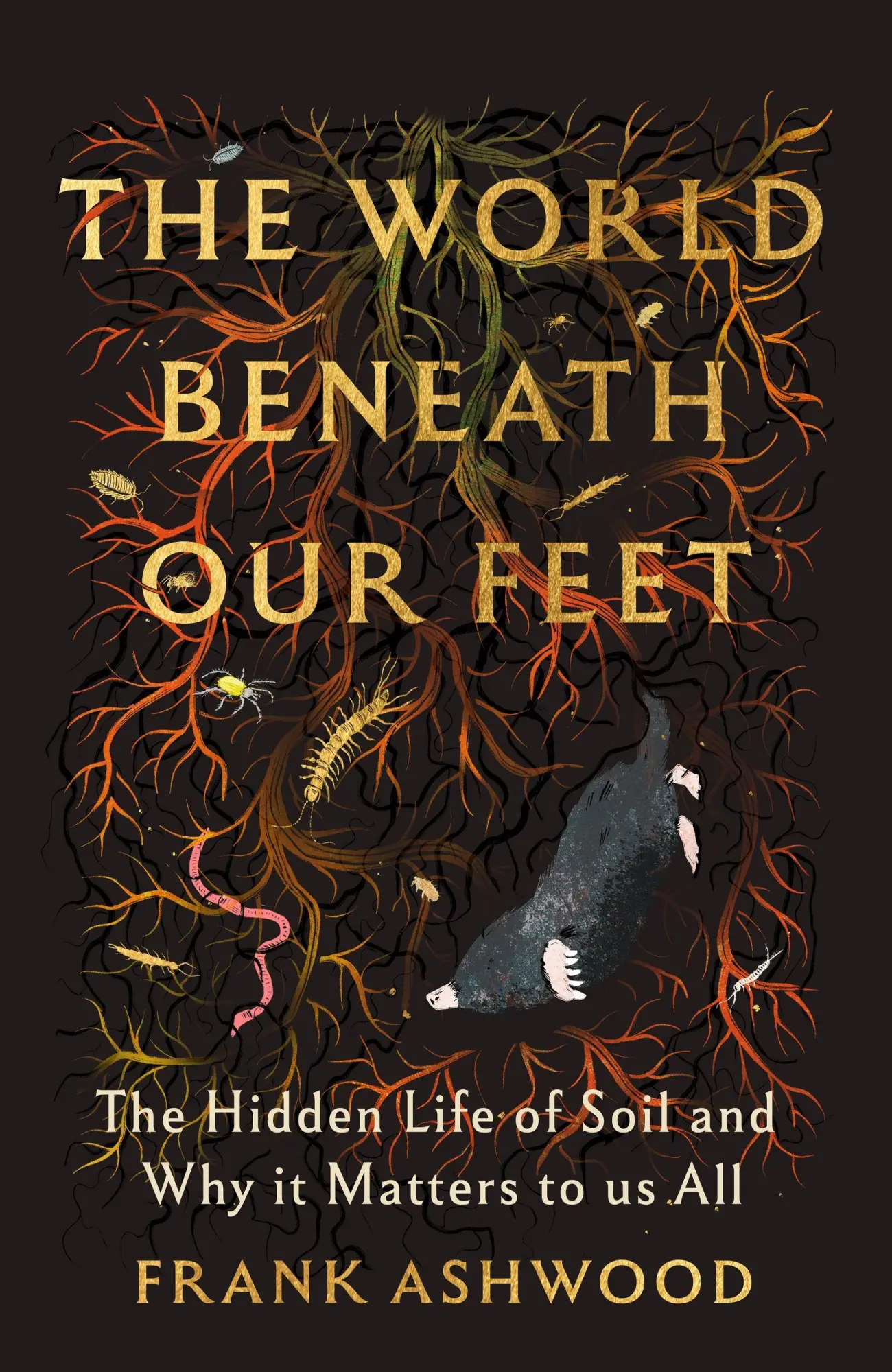 Cover: 9781399742481 | The World Beneath Our Feet | Frank Ashwood | Taschenbuch | Englisch