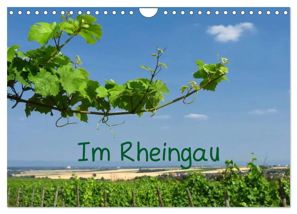 Cover: 9783435792481 | Im Rheingau (Wandkalender 2025 DIN A4 quer), CALVENDO Monatskalender