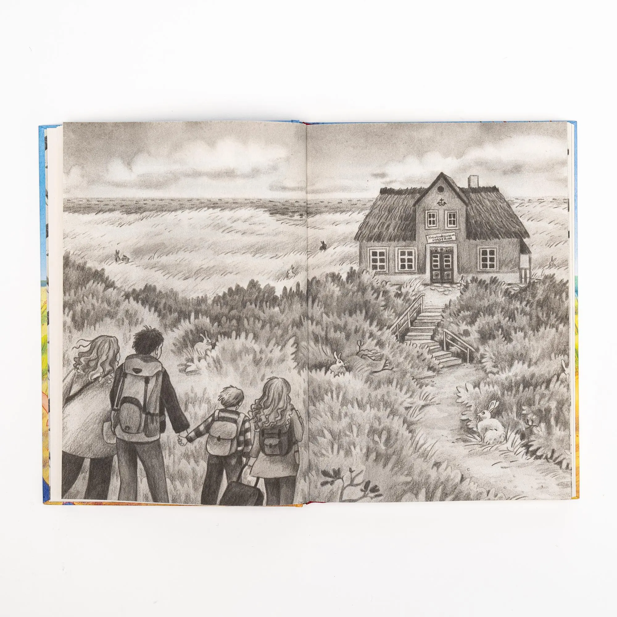 Bild: 9783505152481 | Ida und die Inselbande | Anne Barns (u. a.) | Buch | 144 S. | Deutsch