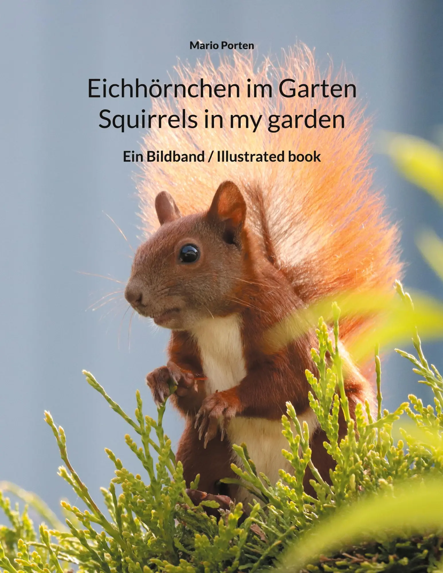 Cover: 9783754332481 | Eichhörnchen im Garten / Squirrels in my garden | Mario Porten | Buch