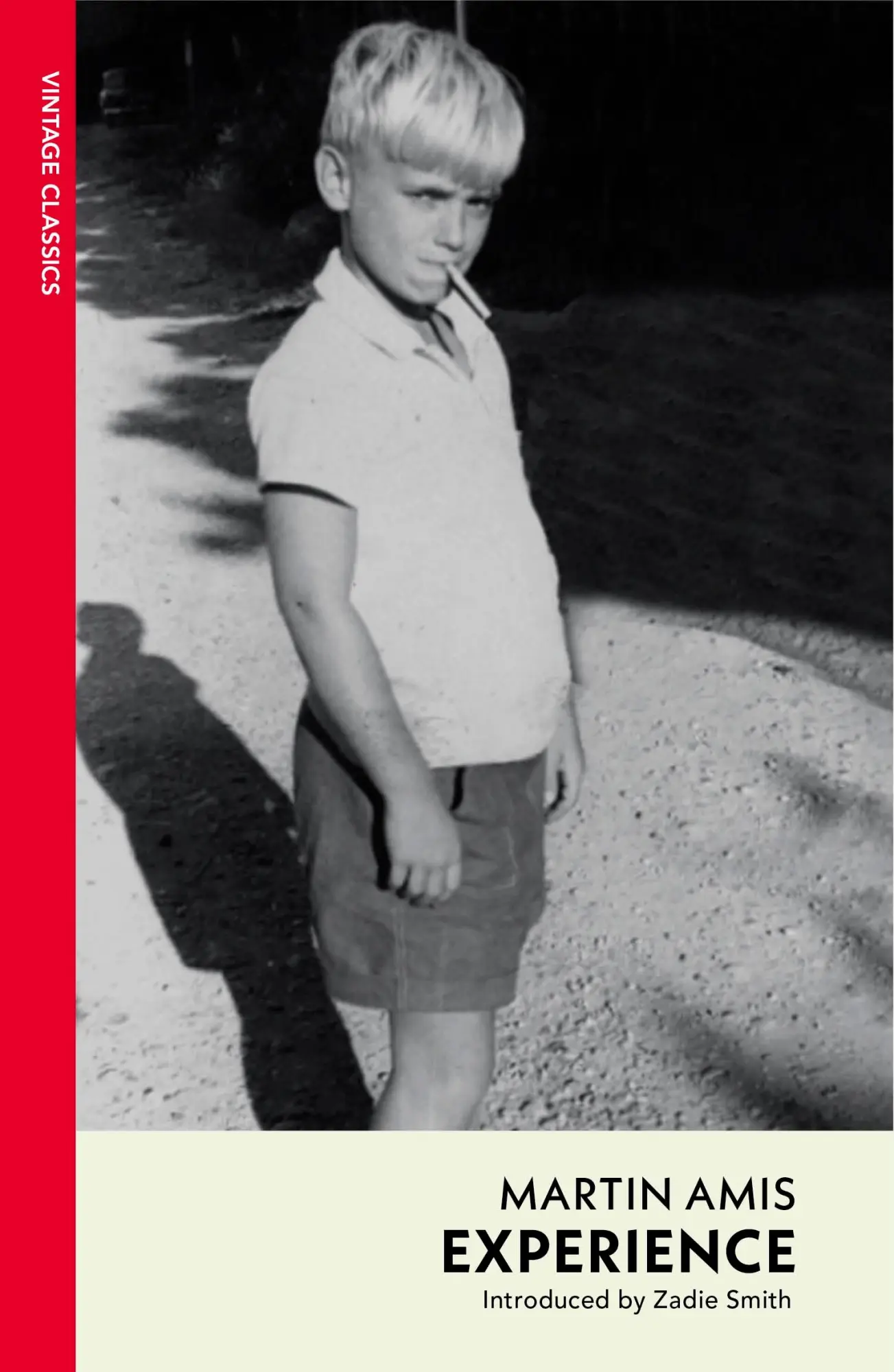 Cover: 9781529952681 | Experience | Martin Amis | Taschenbuch | 416 S. | Englisch | 2025