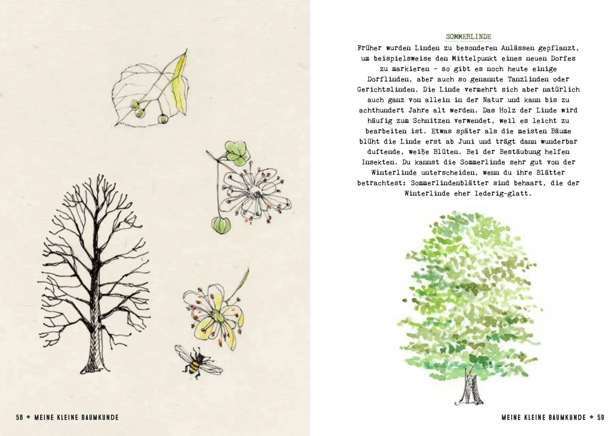 Bild: 9783959102681 | Meine kleine Baumkunde | Gerard Janssen | Buch | 112 S. | Deutsch