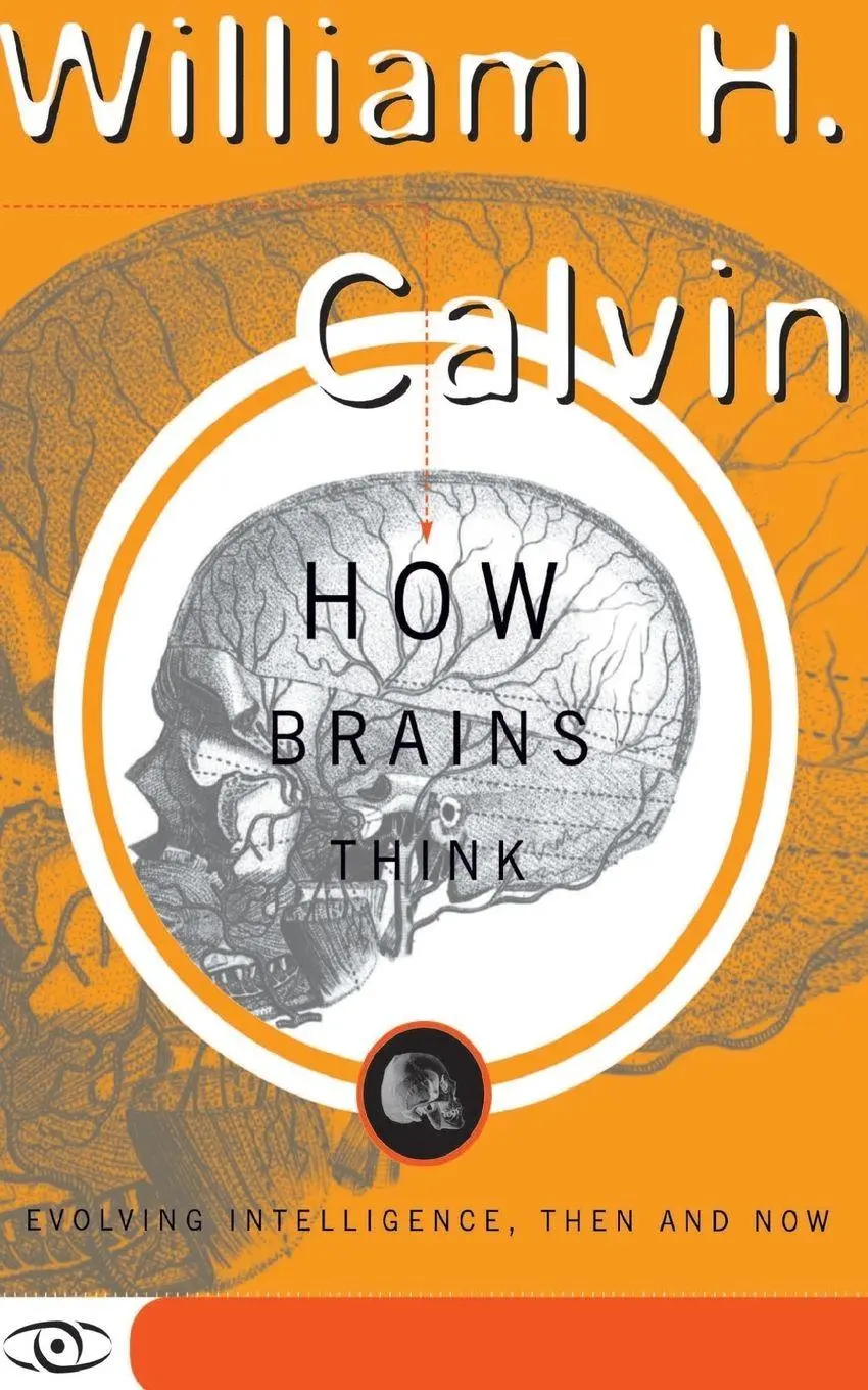 Cover: 9780465072781 | How Brains Think | Evolving Intelligence, Then and Now | Calvin | Buch
