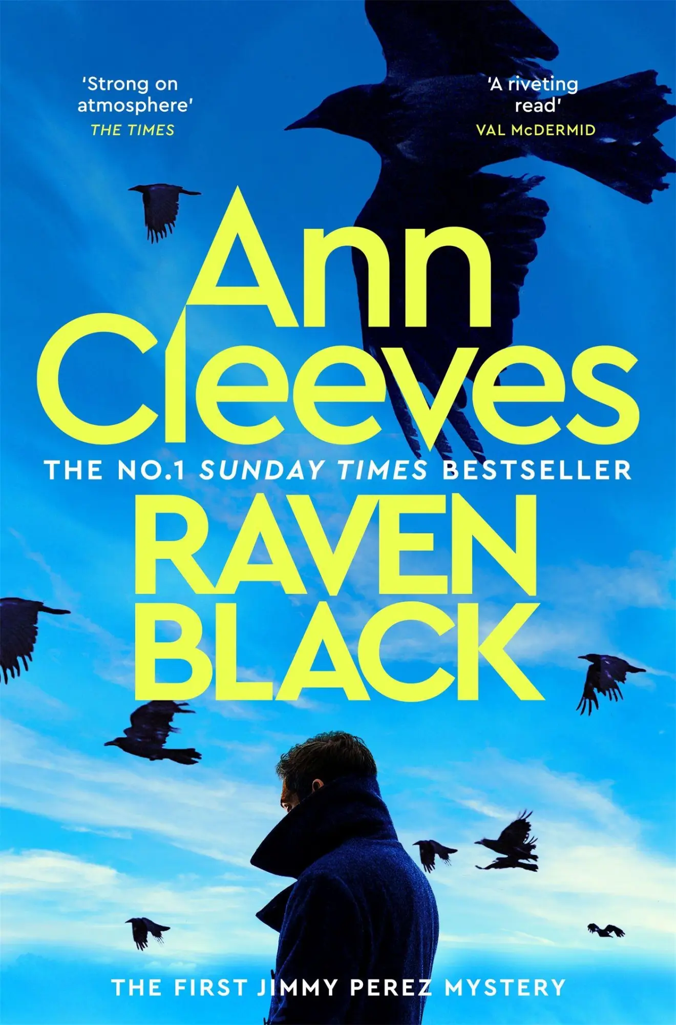Cover: 9781035072781 | Raven Black | Ann Cleeves | Taschenbuch | Shetland Series | Englisch