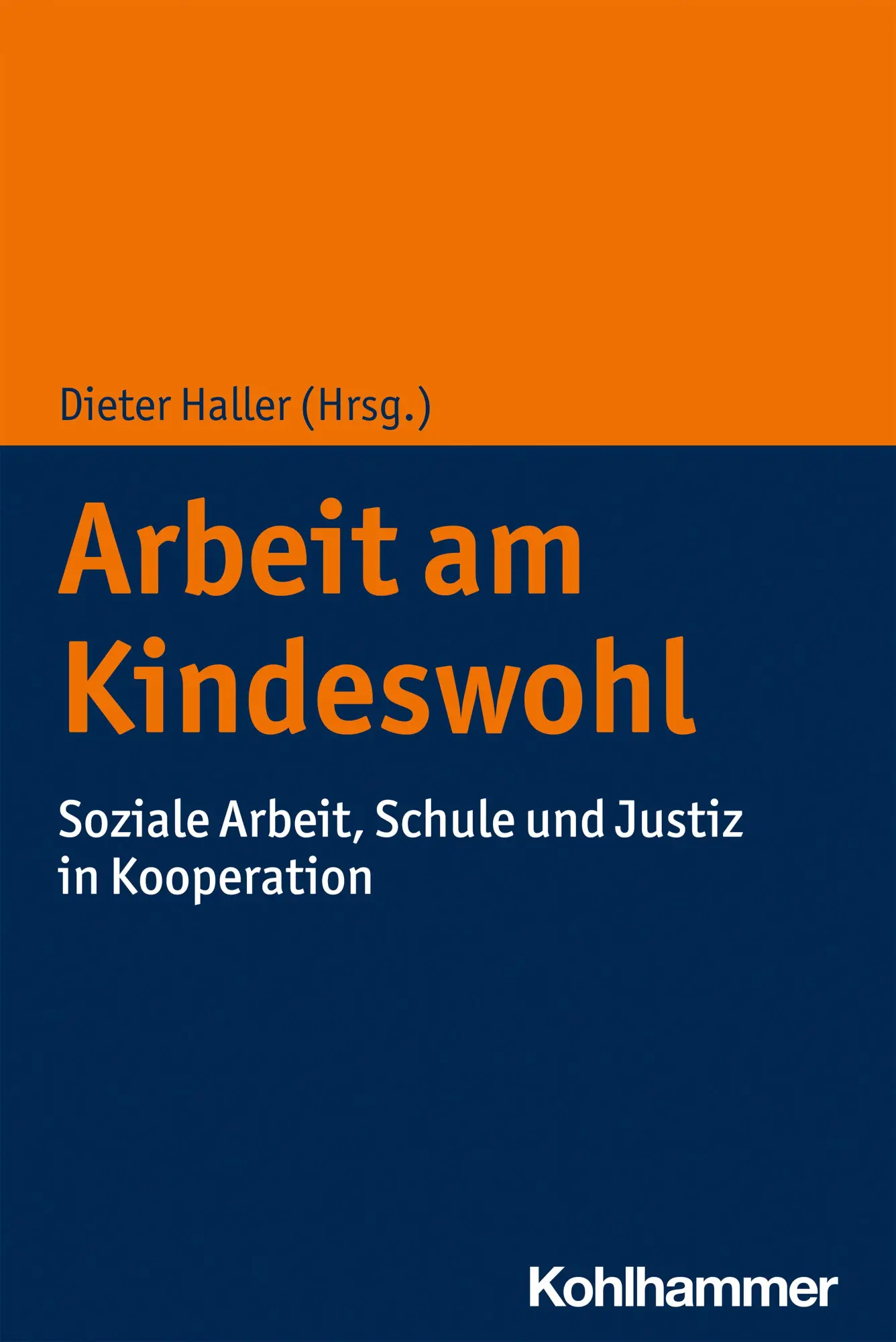 Cover: 9783170412781 | Arbeit am Kindeswohl | Dieter Haller | Taschenbuch | 239 S. | Deutsch