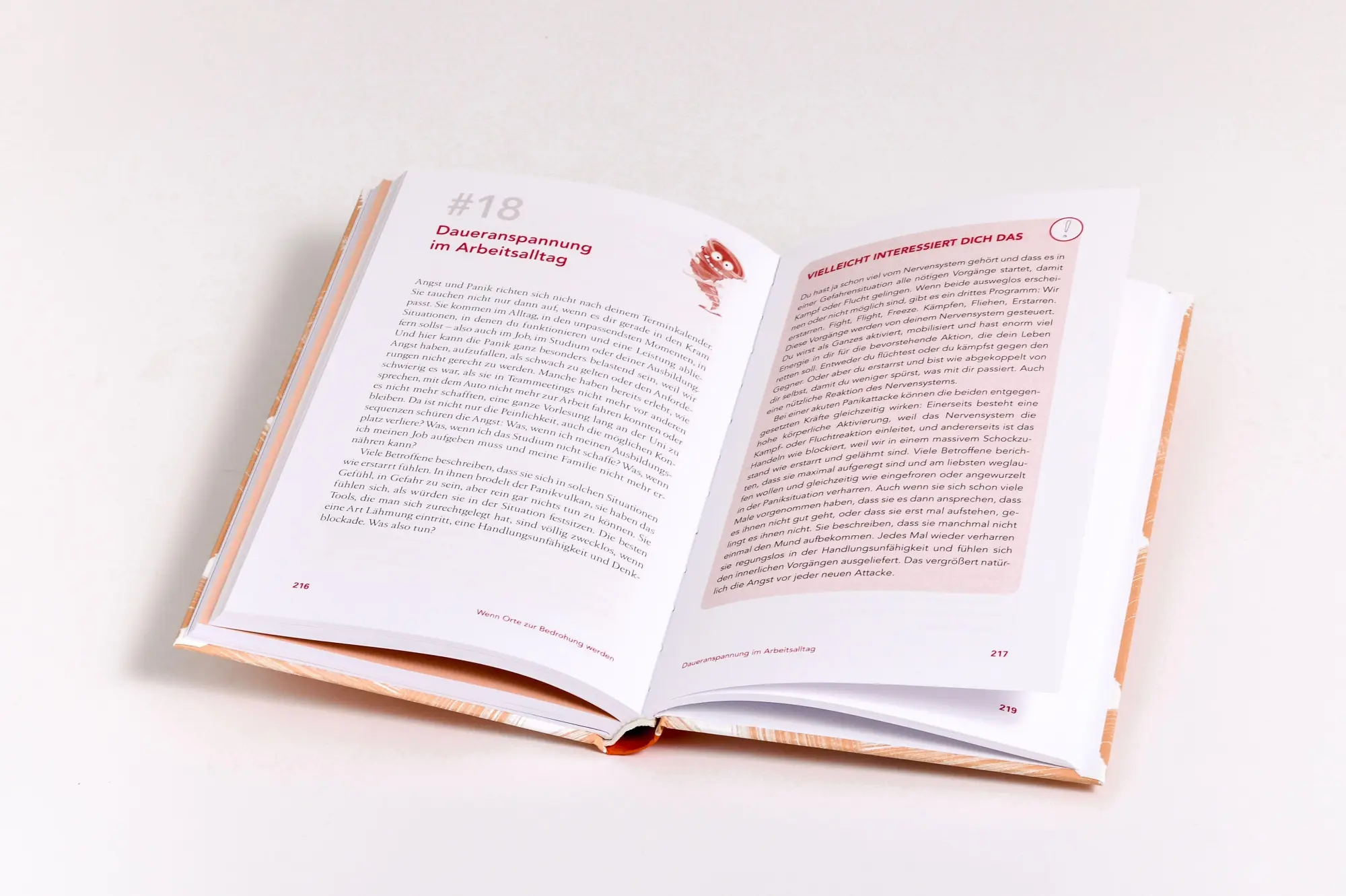Bild: 9783424632781 | Hey Panik, komm mal wieder runter! | Klara Hanstein | Buch | 256 S.