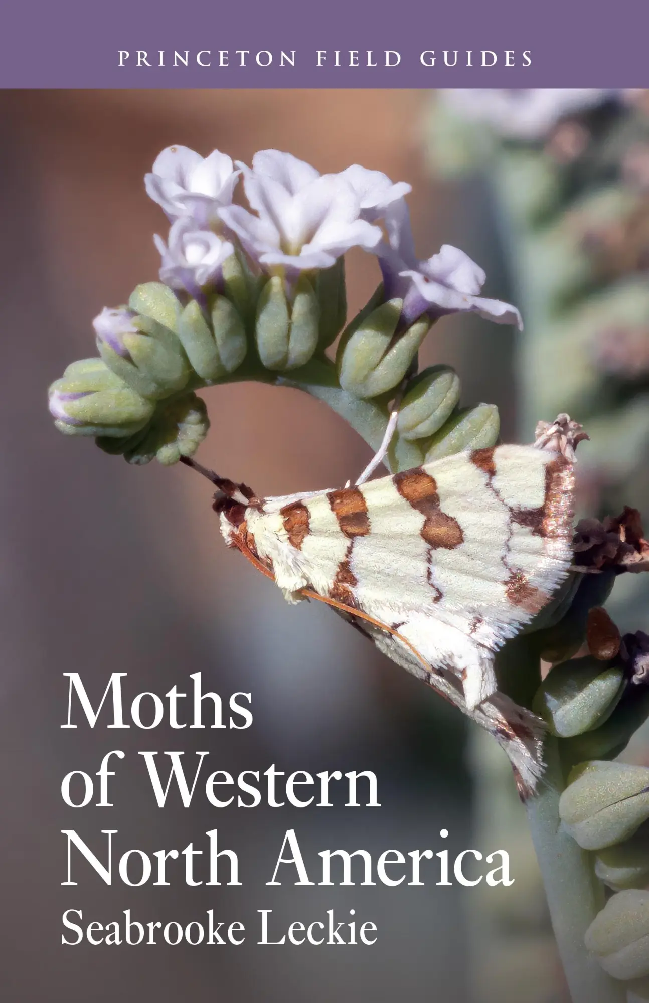 Cover: 9780691232881 | Moths of Western North America | Seabrooke Leckie | Taschenbuch | 2026