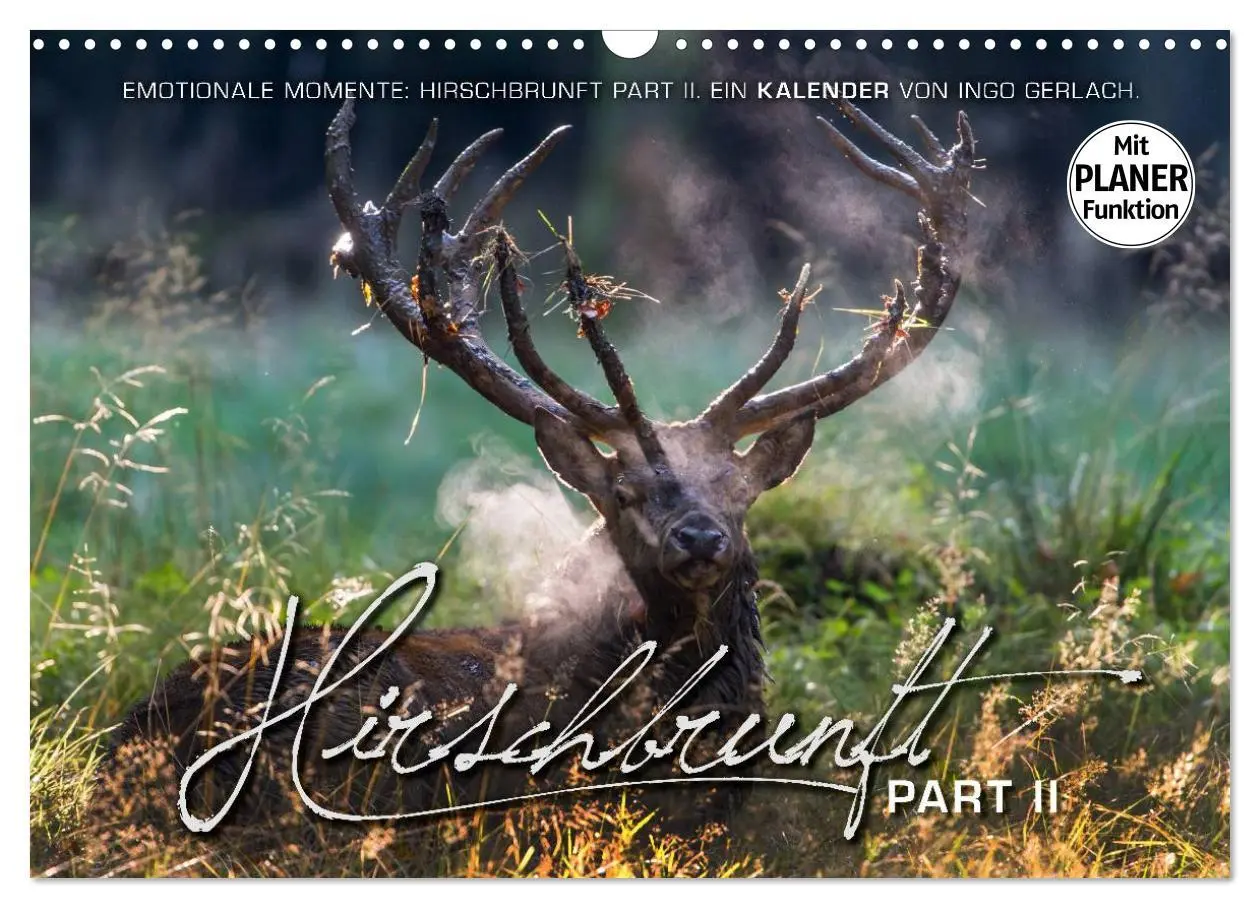 Cover: 9783516002881 | Emotionale Momente: Hirschbrunft. Part II. (Wandkalender 2026 DIN...