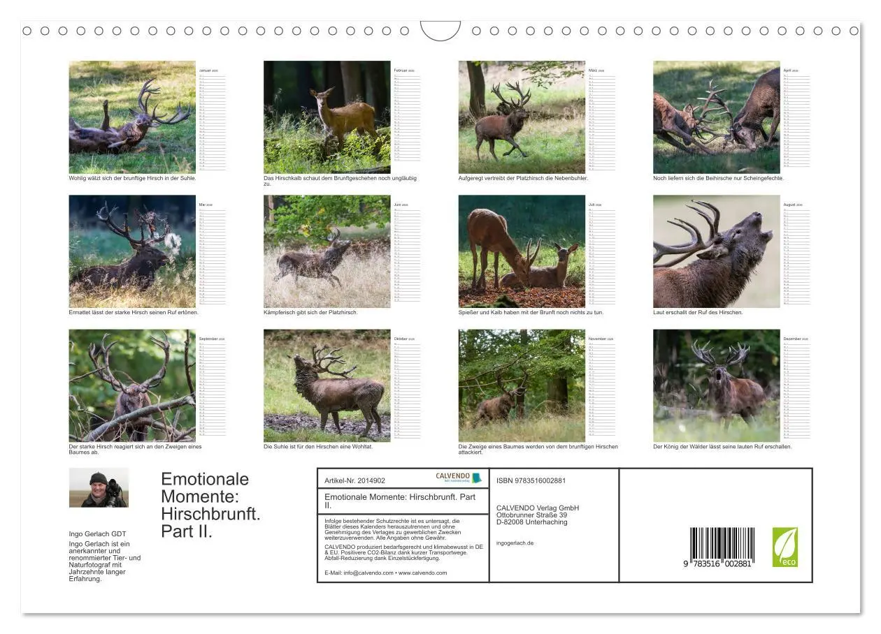 Bild: 9783516002881 | Emotionale Momente: Hirschbrunft. Part II. (Wandkalender 2026 DIN...
