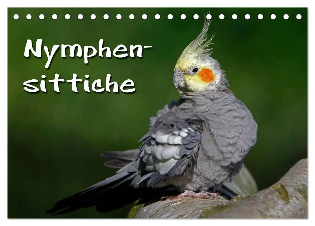 Cover: 9783516172881 | Nymphensittiche (Tischkalender 2026 DIN A5 quer), CALVENDO...
