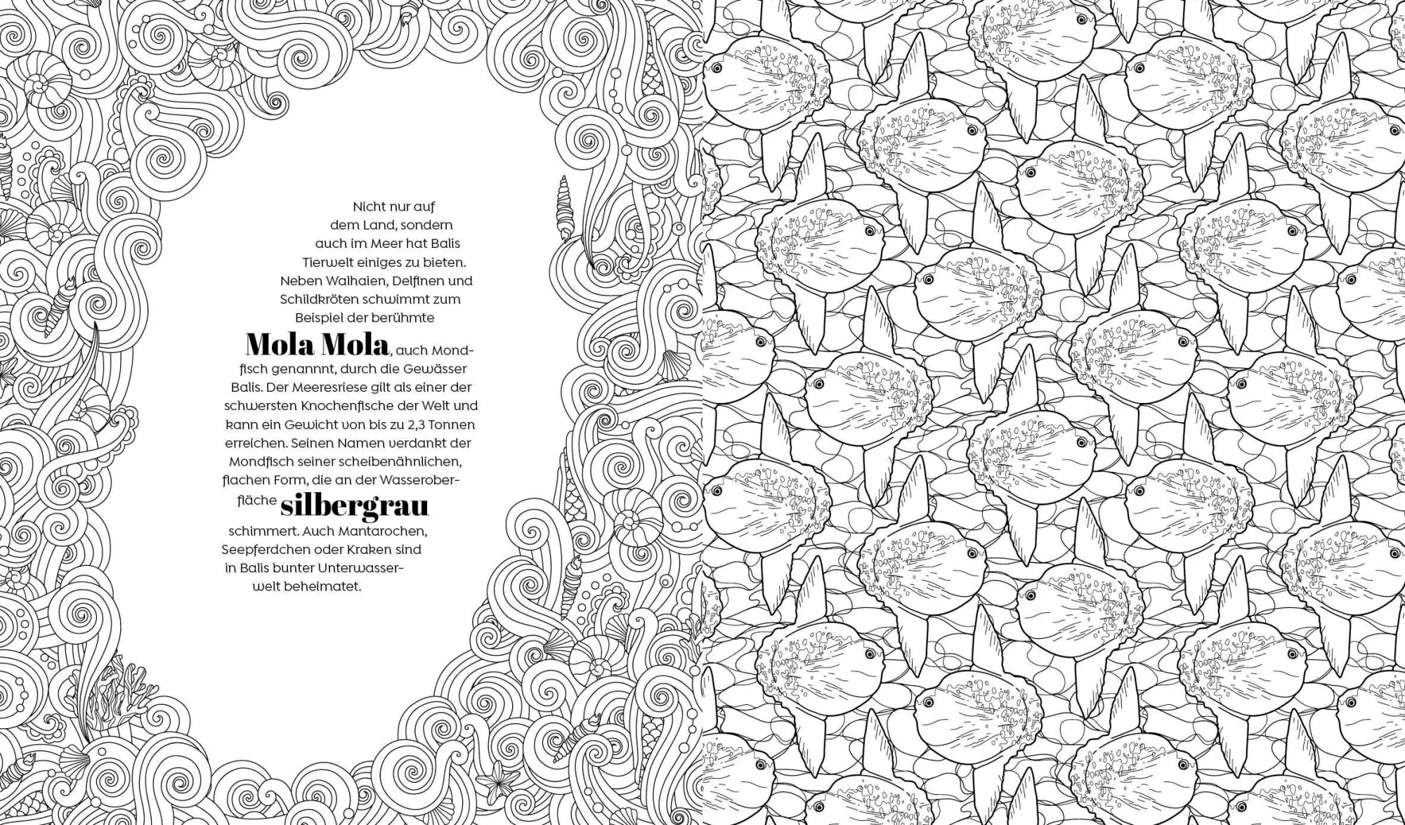 Bild: 9783745932881 | Meine große Ausmalwelt - Inselparadiese | Taschenbuch | 288 S. | 2026