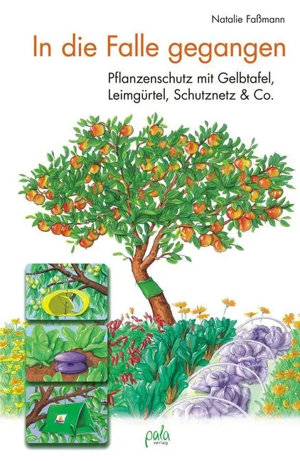 Cover: 9783895662881 | In die Falle gegangen | Natalie Faßmann | Buch | 140 S. | Deutsch