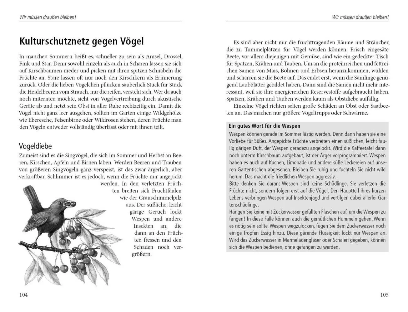 Bild: 9783895662881 | In die Falle gegangen | Natalie Faßmann | Buch | 140 S. | Deutsch