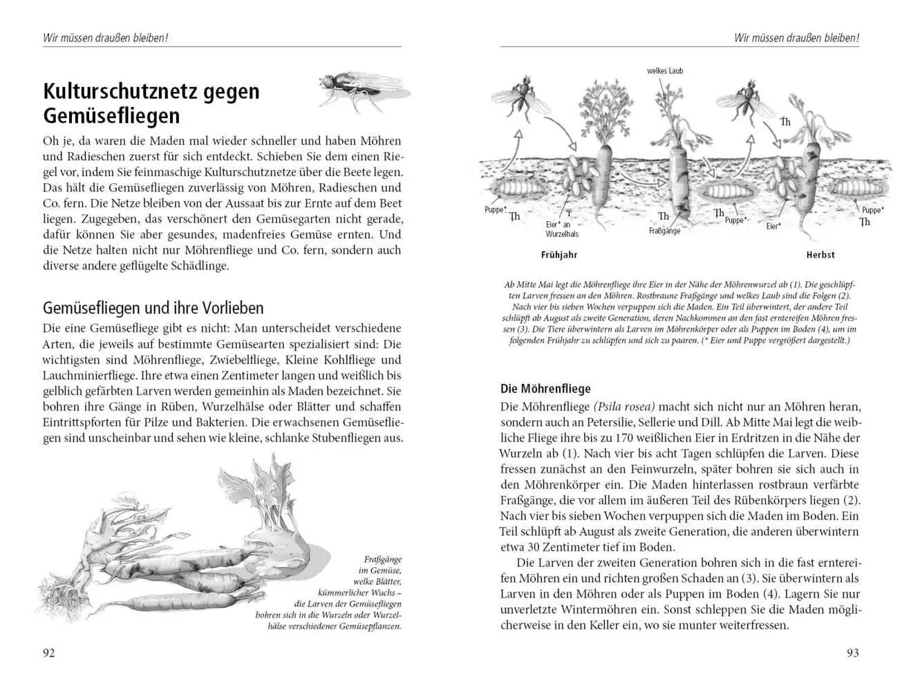 Bild: 9783895662881 | In die Falle gegangen | Natalie Faßmann | Buch | 140 S. | Deutsch
