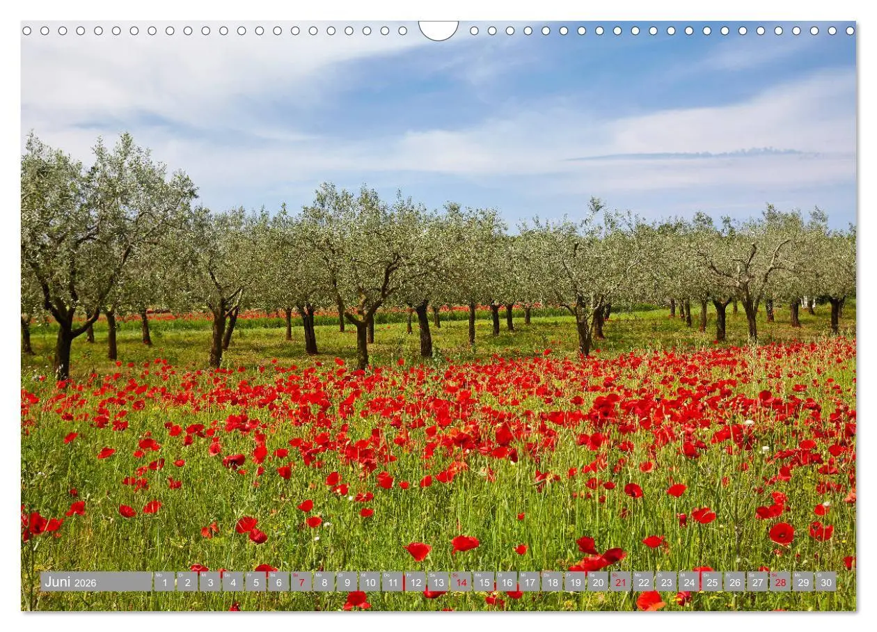 Bild: 9783457832981 | ISTRIEN (Wandkalender 2026 DIN A3 quer), CALVENDO Monatskalender