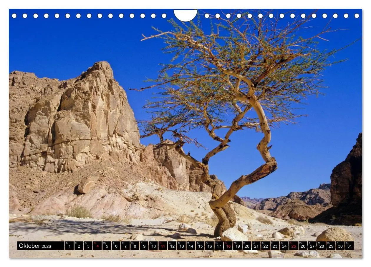 Bild: 9783516092981 | Sinai - Landschaft aus Fels und Sand (Wandkalender 2026 DIN A4...