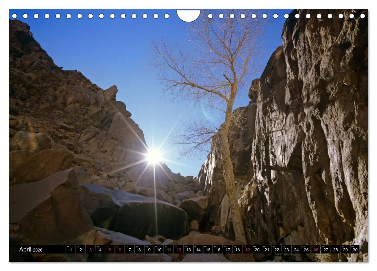 Bild: 9783516092981 | Sinai - Landschaft aus Fels und Sand (Wandkalender 2026 DIN A4...