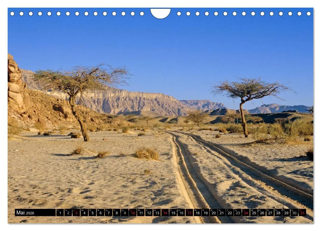 Bild: 9783516092981 | Sinai - Landschaft aus Fels und Sand (Wandkalender 2026 DIN A4...
