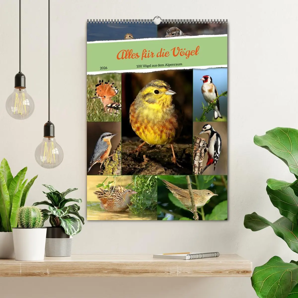 Bild: 9783516302981 | Alles für die Vögel (Wandkalender 2026 DIN A2 hoch), CALVENDO...