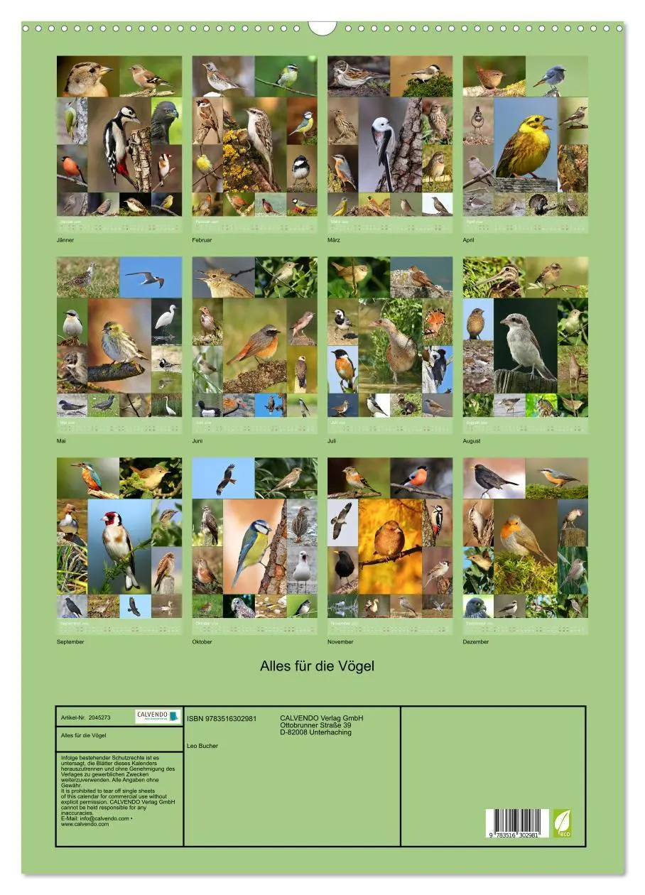 Bild: 9783516302981 | Alles für die Vögel (Wandkalender 2026 DIN A2 hoch), CALVENDO...