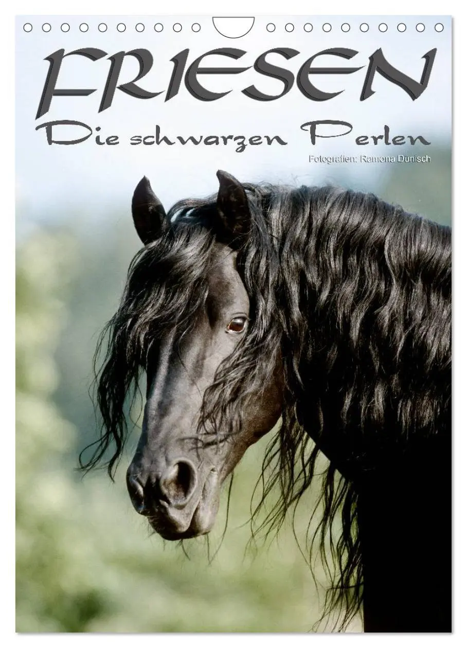 Cover: 9783516472981 | Friesen - die schwarzen Perlen (Wandkalender 2026 DIN A4 hoch),...