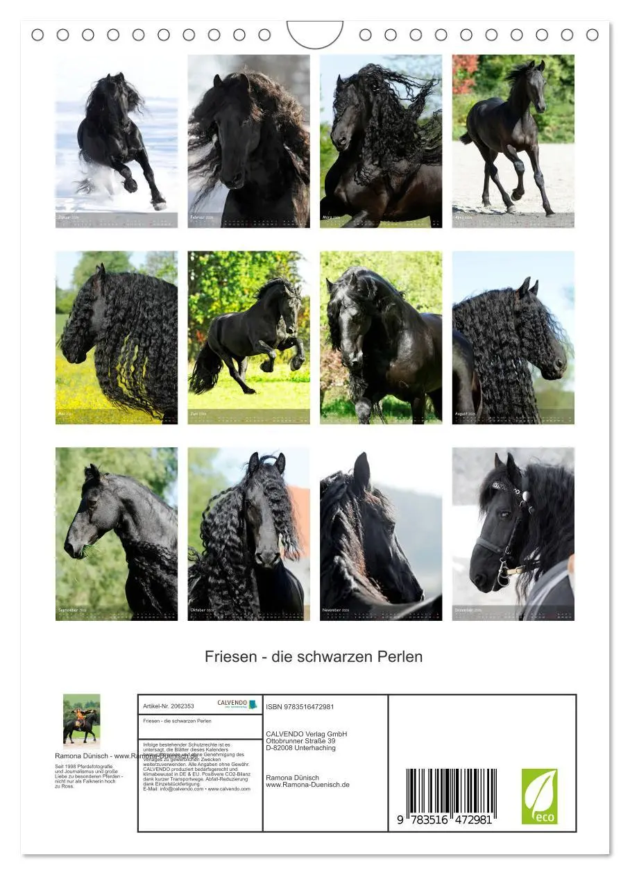 Bild: 9783516472981 | Friesen - die schwarzen Perlen (Wandkalender 2026 DIN A4 hoch),...