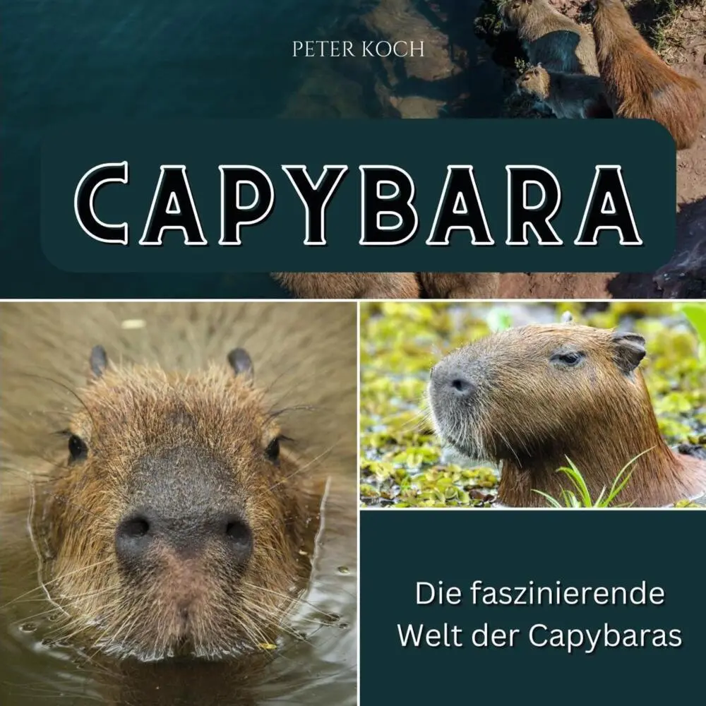 Cover: 9783750562981 | Capybara | Die faszinierende Welt der Capybaras | Peter Koch | Buch