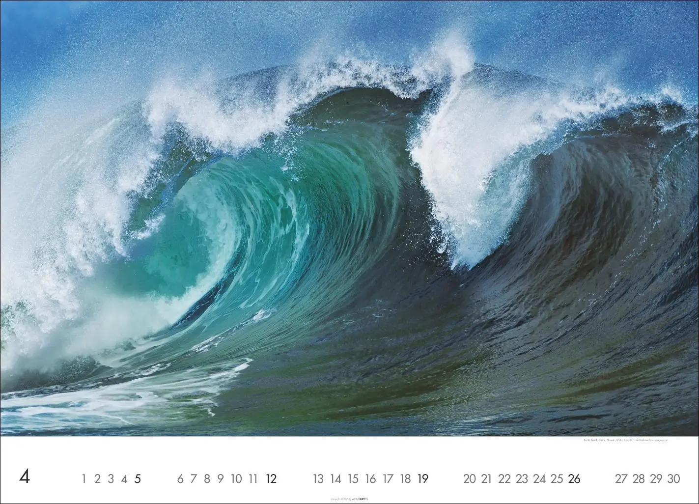 Bild: 9783839902981 | Das Meer Kalender 2026 | Kalender | Spiralbindung | 14 S. | Deutsch
