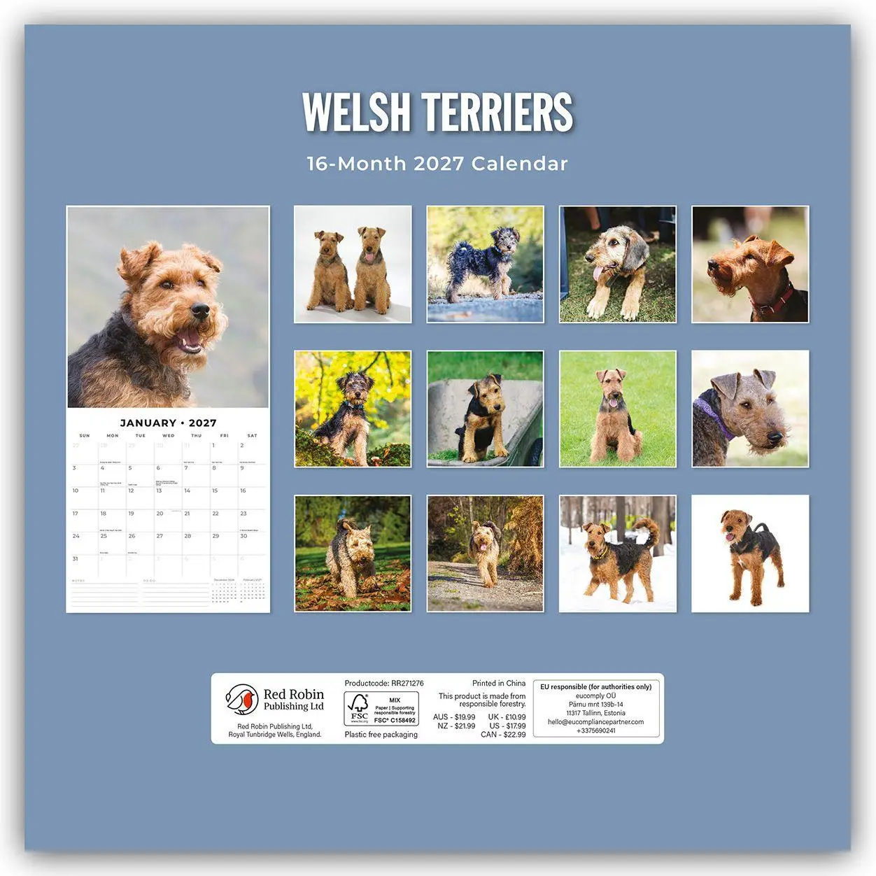 Rückseite: 9781837013081 | Welsh Terriers - Welsh Terrier 2027 - 16-Monatskalender | Robin Red