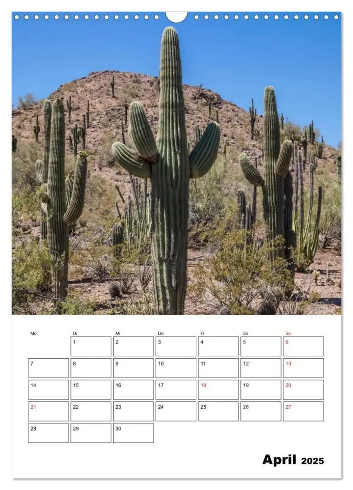 Bild: 9783457033081 | USA Südwest Facettenreiche Landschaften (Wandkalender 2025 DIN A3...