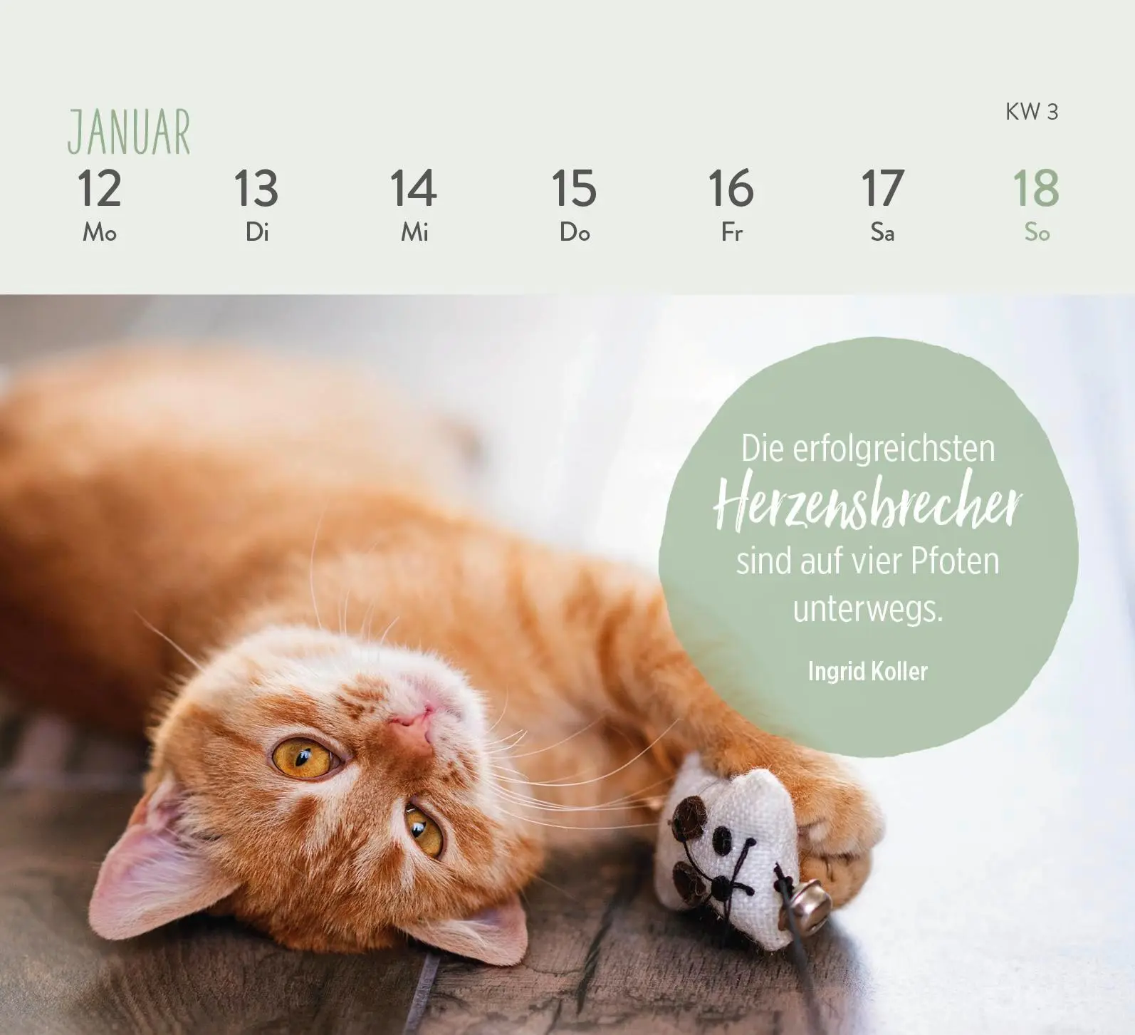 Bild: 4036442013281 | Mini-Wochenkalender 2026: Für Katzenfreunde | Groh Verlag | Kalender
