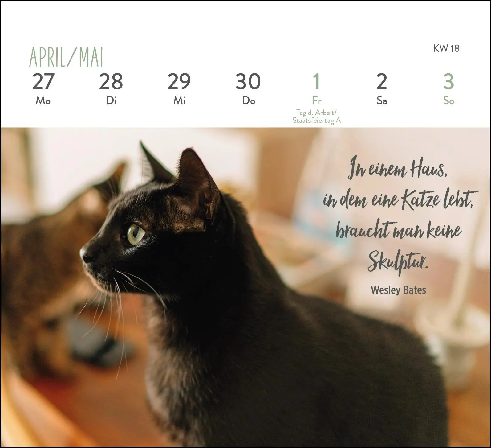 Bild: 4036442013281 | Mini-Wochenkalender 2026: Für Katzenfreunde | Groh Verlag | Kalender