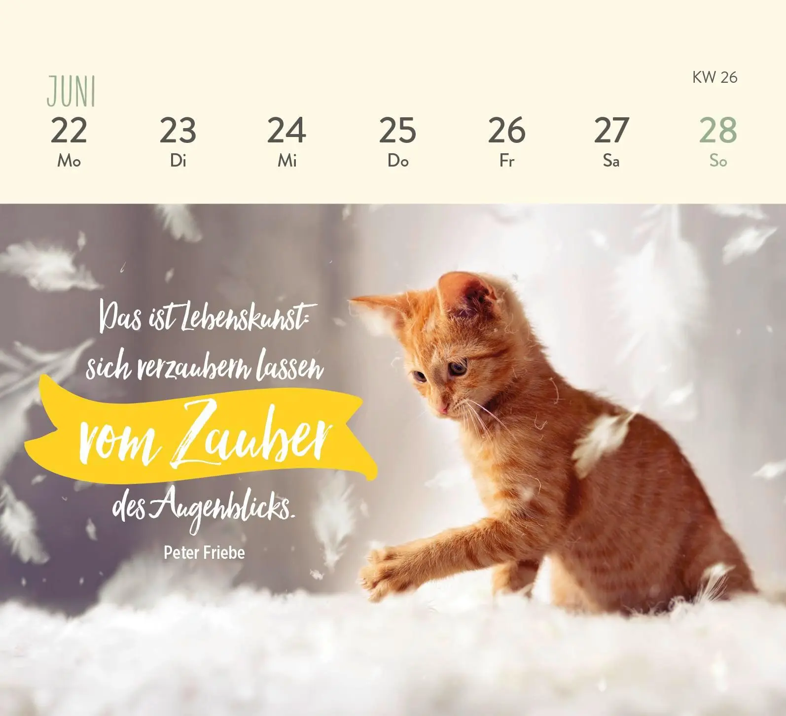 Bild: 4036442013281 | Mini-Wochenkalender 2026: Für Katzenfreunde | Groh Verlag | Kalender