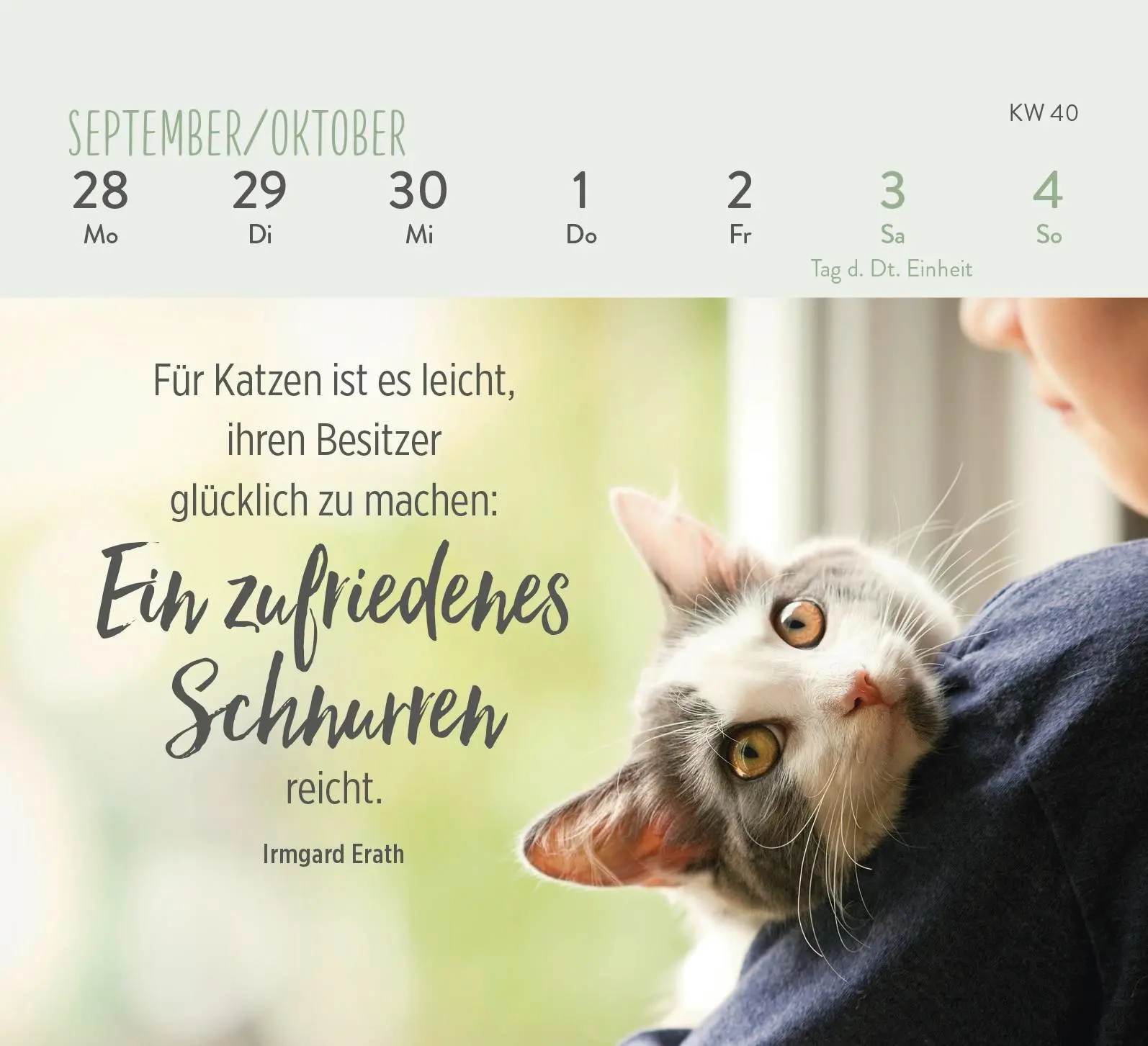 Bild: 4036442013281 | Mini-Wochenkalender 2026: Für Katzenfreunde | Groh Verlag | Kalender