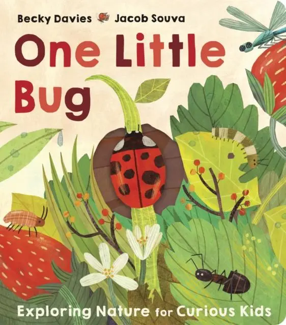 Cover: 9781801043281 | One Little Bug | Becky Davies | Buch | Papp-Bilderbuch | Englisch