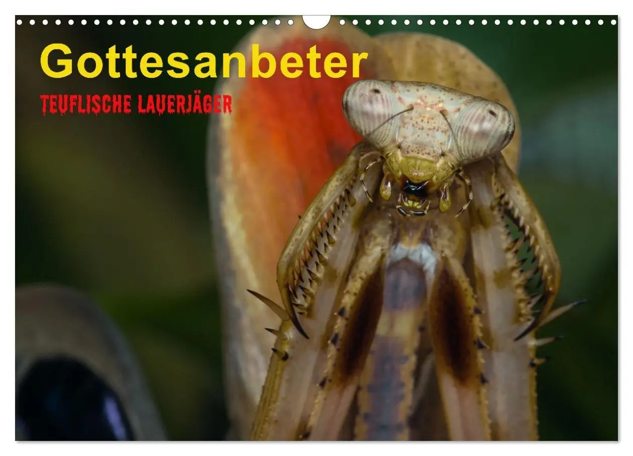 Cover: 9783457253281 | Gottesanbeter - Teuflische Lauerjäger (Wandkalender 2026 DIN A3...