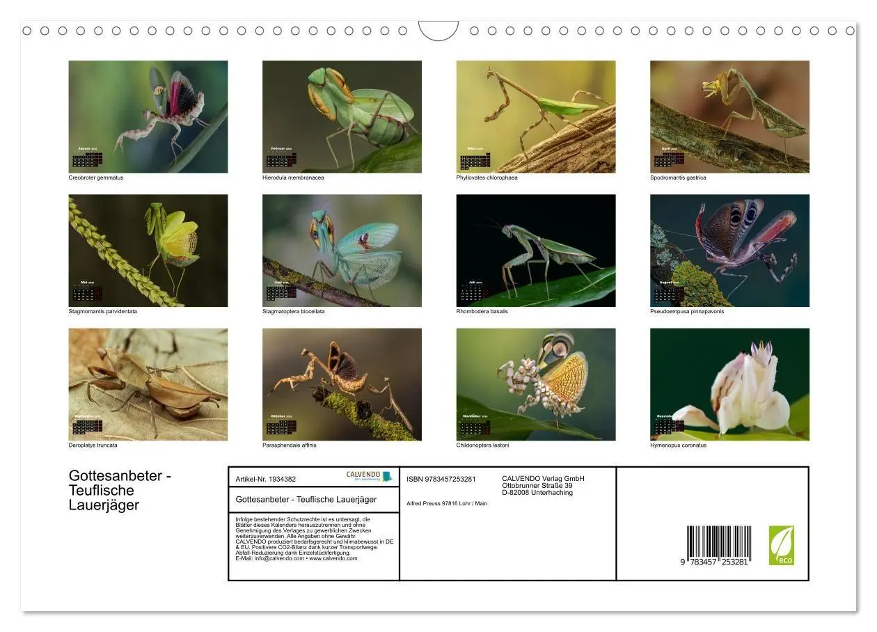 Bild: 9783457253281 | Gottesanbeter - Teuflische Lauerjäger (Wandkalender 2026 DIN A3...