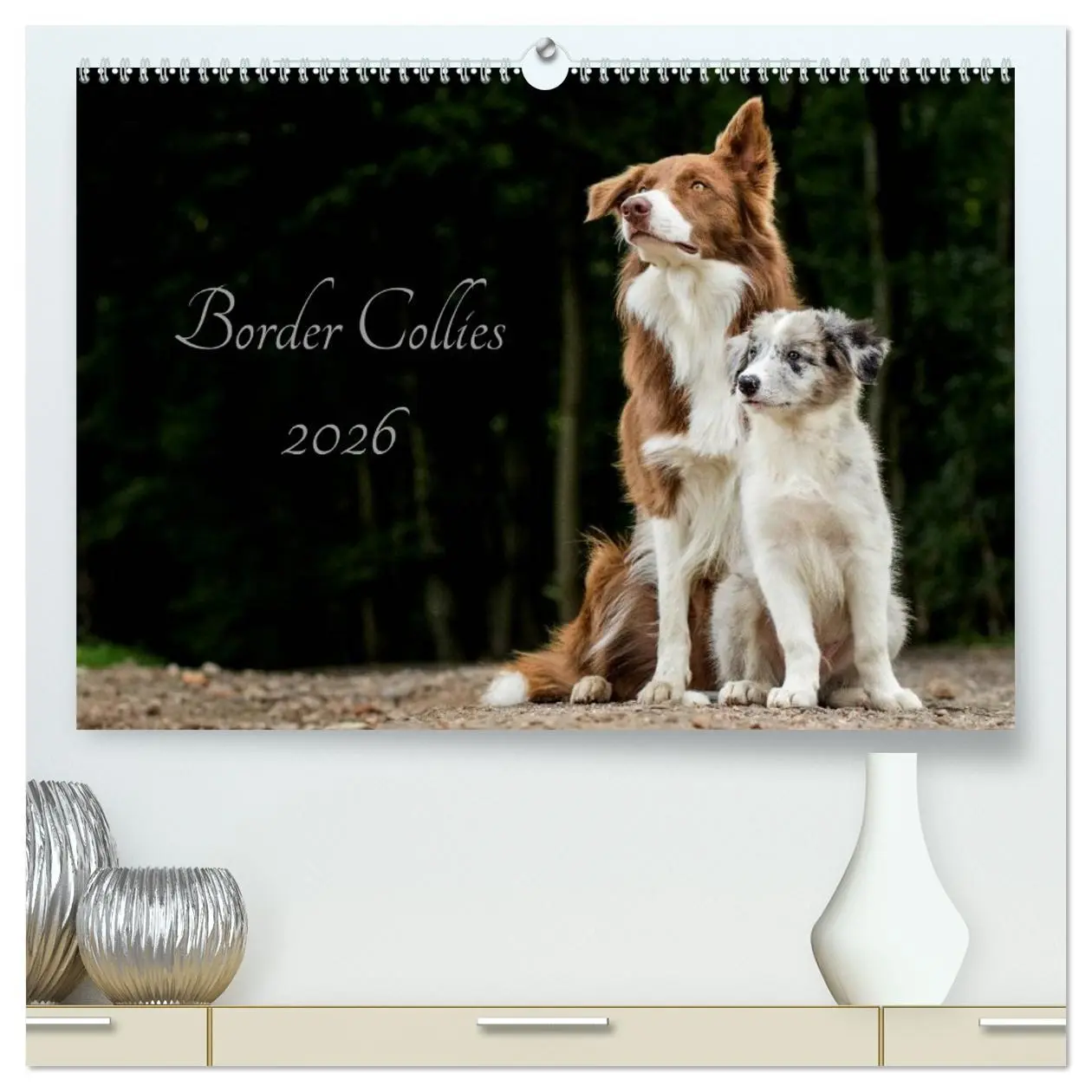 Cover: 9783516033281 | Border Collies 2026 (hochwertiger Premium Wandkalender 2026 DIN A2...
