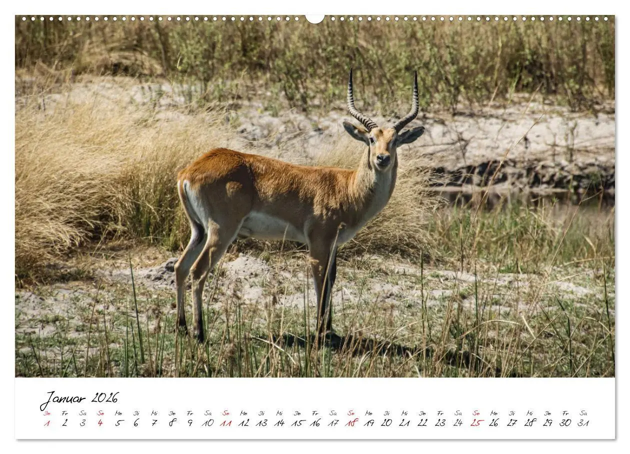 Bild: 9783457623381 | X Tage in Namibia - Ein Roadtrip im Süden von Afrika (Wandkalender...